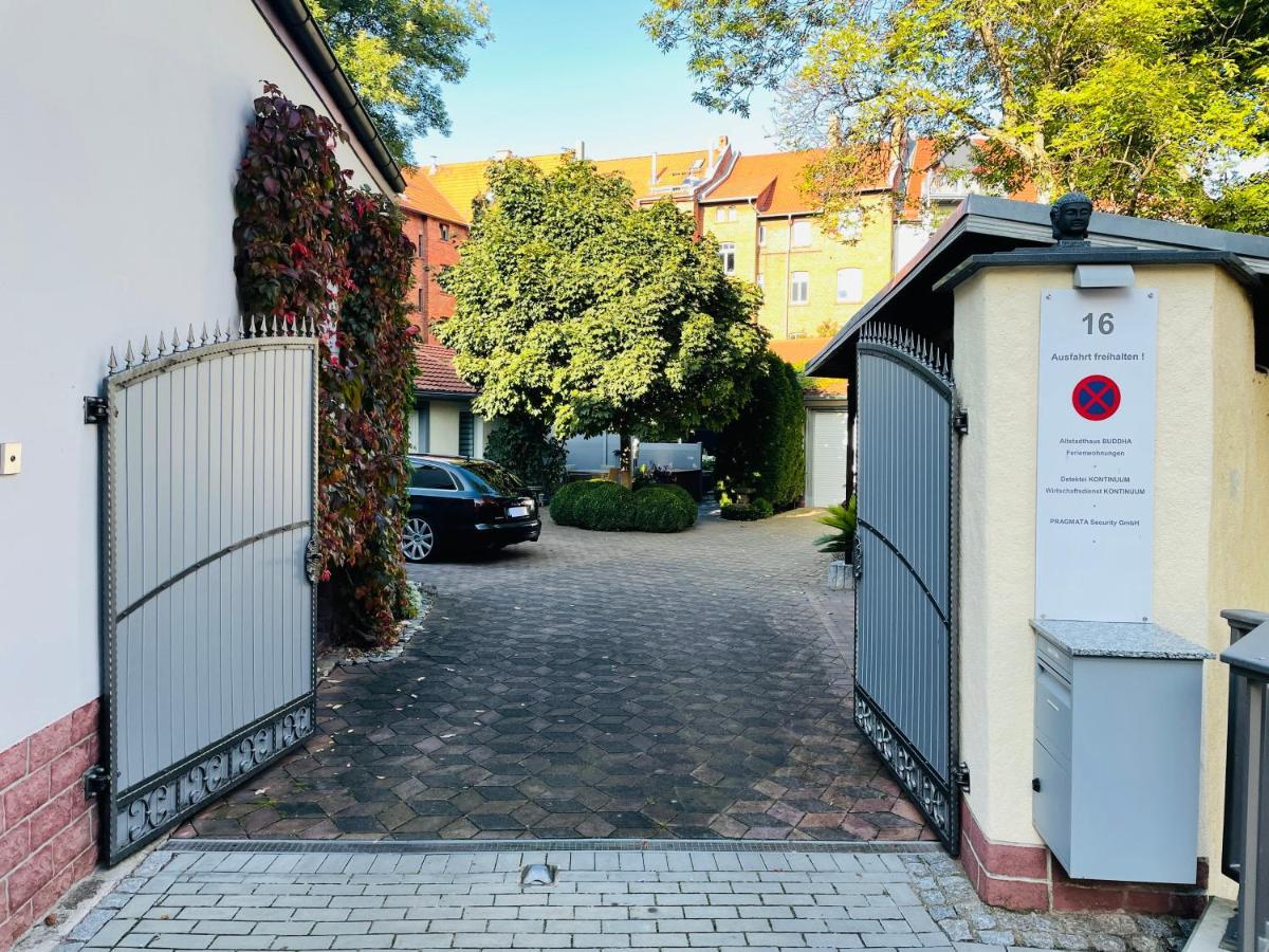 Altstadthaus Buddha Erfurt